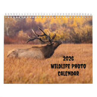 Calendario medio de dos páginas de la foto de faun