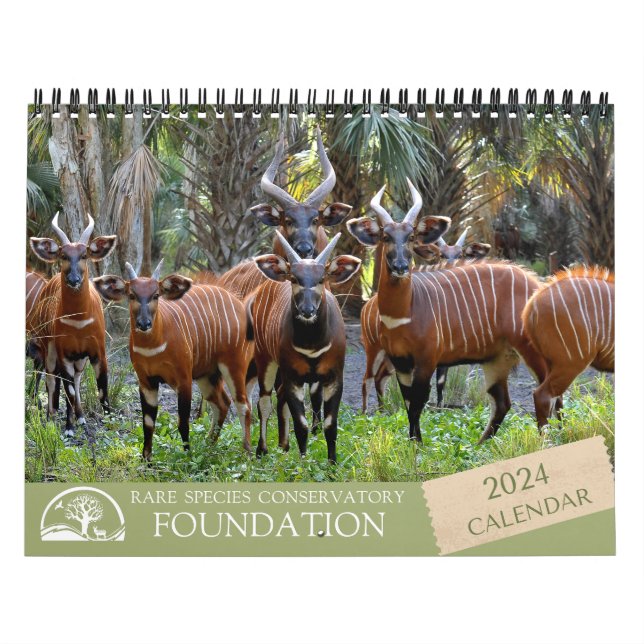 Calendario medio de dos páginas RSCF 2024 (Tapa)