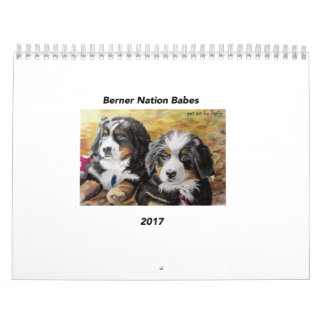 Calendario medio de los bebés 2017 de la nación de