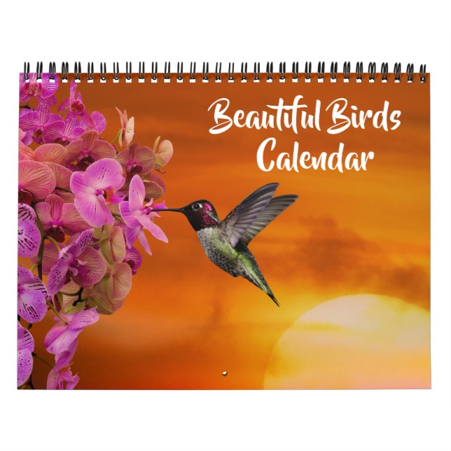 Calendario Medium Size Beautiful Birds Calendar (Tapa)