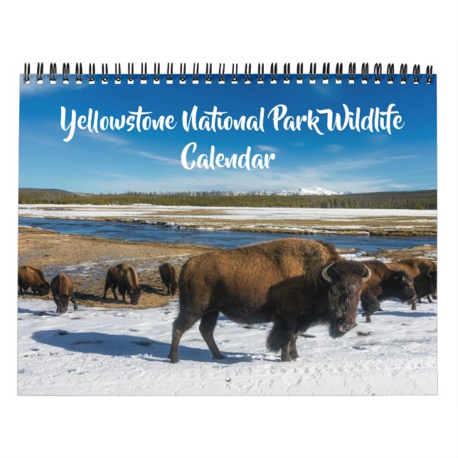 Calendario Medium Size Yellowstone Calendar-Wildlife Calendar (Tapa)