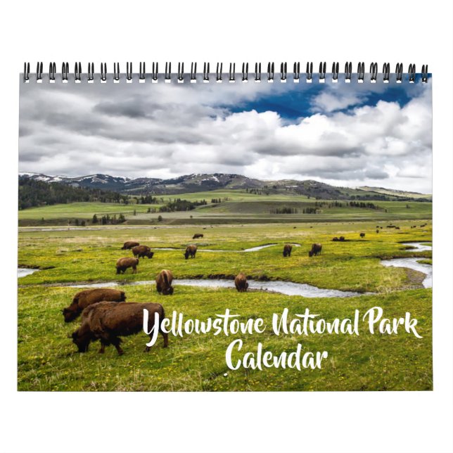 Calendario Medium Yellowstone Park Calendar (Tapa)