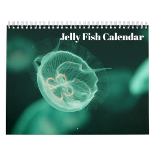 Calendario Medusa 2027