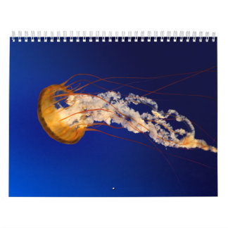 Calendario Medusas