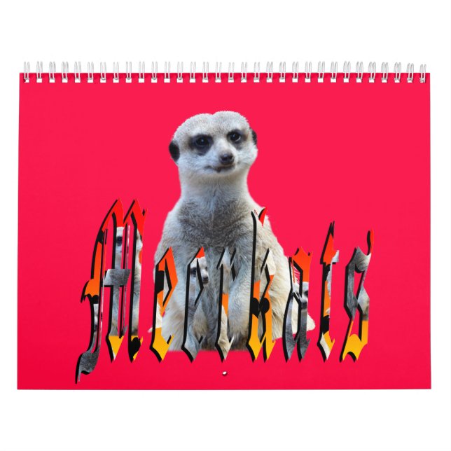 Calendario Meerkat Con Style USA Holidays 2019, (Tapa)