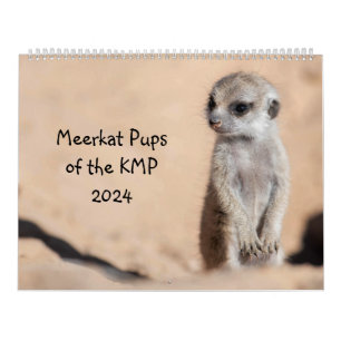 Calendario Meerkat Pups de la KMP 2024
