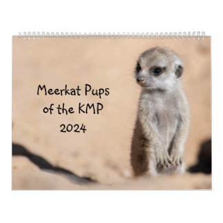 Calendario Meerkat Pups de la KMP 2024