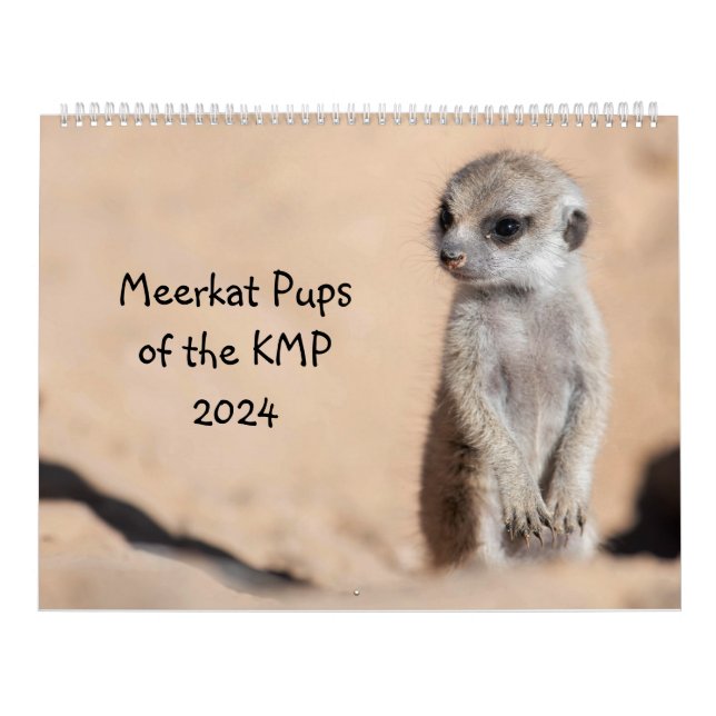 Calendario Meerkat Pups de la KMP 2024 (Tapa)