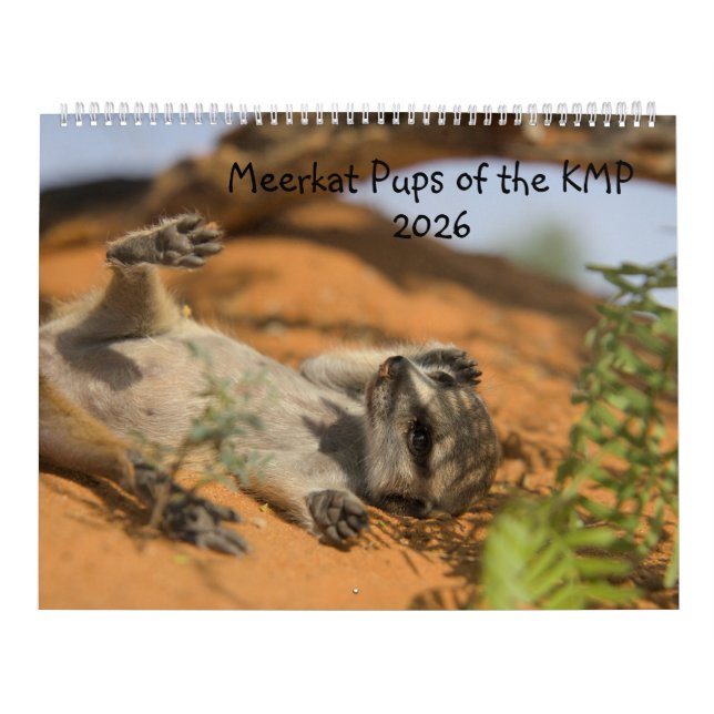 Calendario Meerkat Pups of the KMP 2026 Calendar (Tapa)