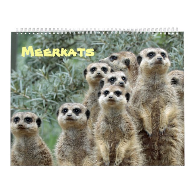 Calendario Meerkats (Tapa)