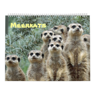 Calendario Meerkats