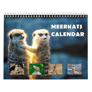 Calendario Meerkats