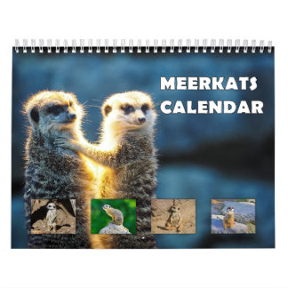 Calendario Meerkats
