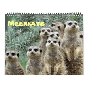 Calendario Meerkats 001