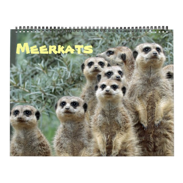 Calendario Meerkats 001 (Tapa)