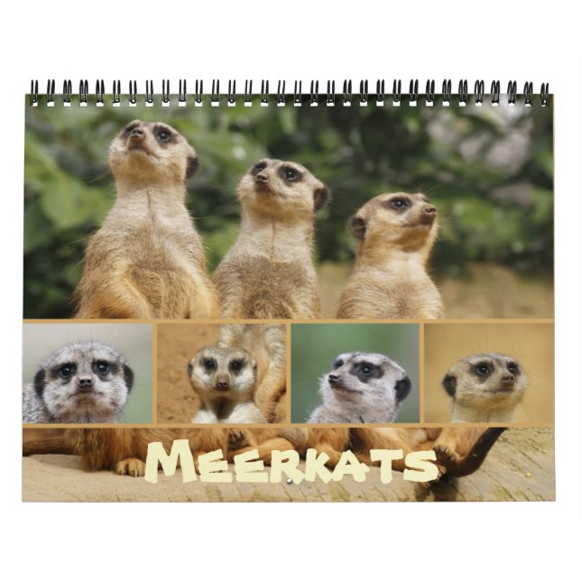 Calendario Meerkats 002 (Tapa)
