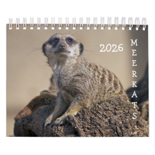 Calendario Meerkats 2025