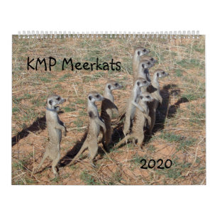 Calendario Meerkats del KMP - 2020
