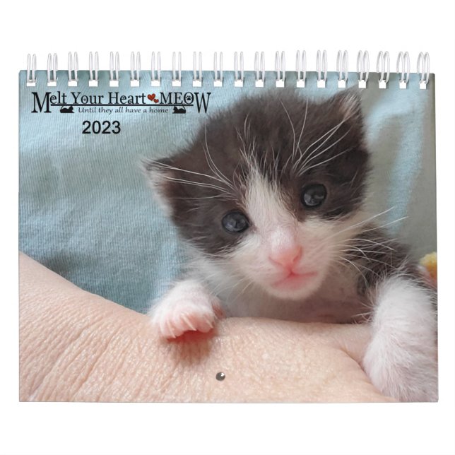 Calendario Melt Your Heart - MEOW 2023 Kitten Calendar (Tapa)
