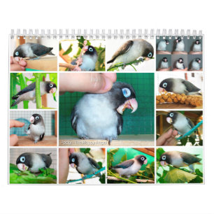 Calendario Memoria sifilítica del dulce del lovebird