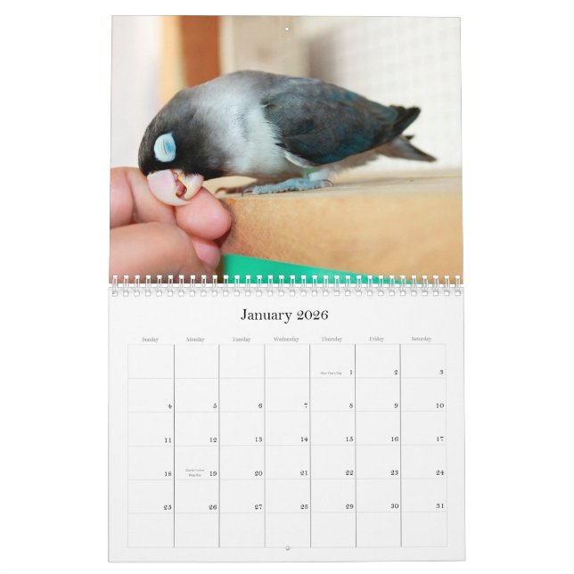 Calendario Memoria sifilítica del dulce del lovebird (Jan 2026)