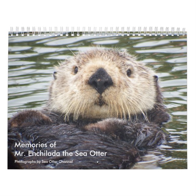 Calendario Memories of Mr.Enchilada Calendar (Tapa)