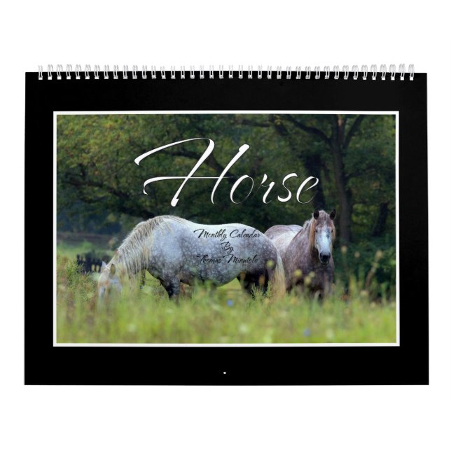 Calendario Mensual de Caballos por Thomas Minutolo (Tapa)