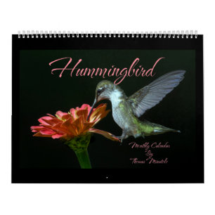 Calendario Mensual de Colibríes por Tom Minutolo
