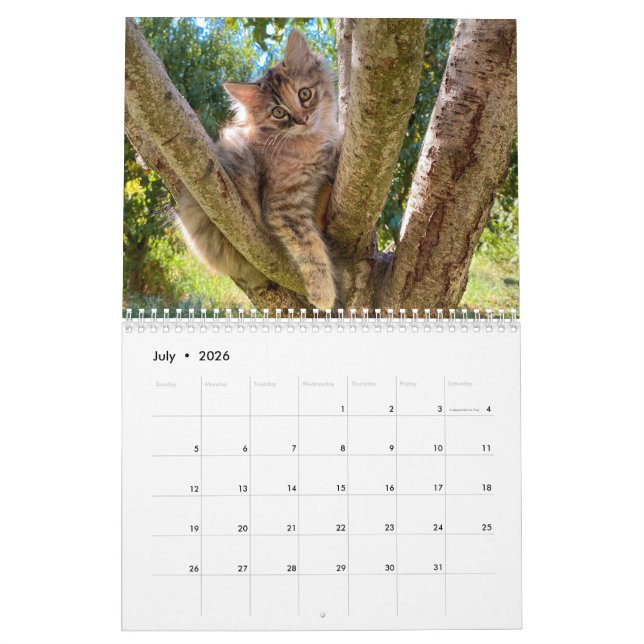 Calendario mensual de gatos de pared de 2024 (Jul 2026)