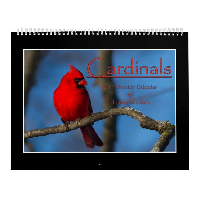 Calendario mensual de los cardenales 2017 de (Tapa)