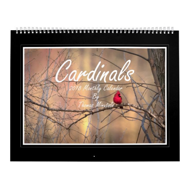 Calendario mensual de los cardenales 2018 de (Tapa)