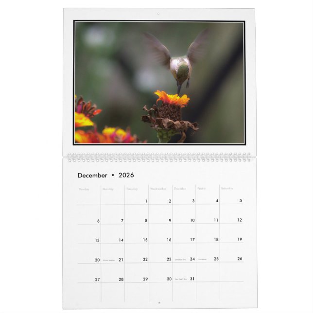 Calendario mensual de los colibríes 2016 de Tom (Dec 2026)