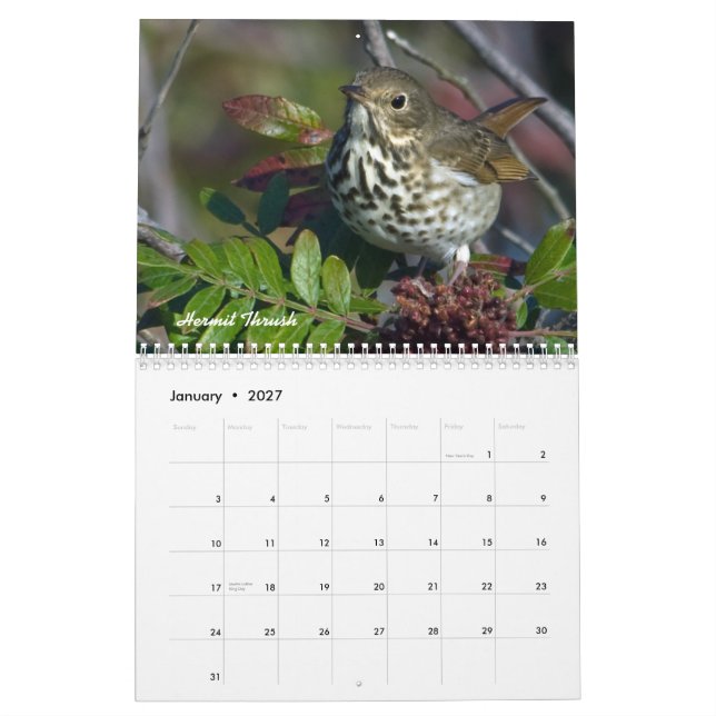 Calendario mensual de los pájaros del jardín (Jan 2027)