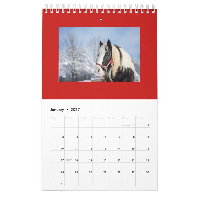 CALENDARIO MENSUAL DEL PLANEAMIENTO DEL CABALLO (Jan 2027)