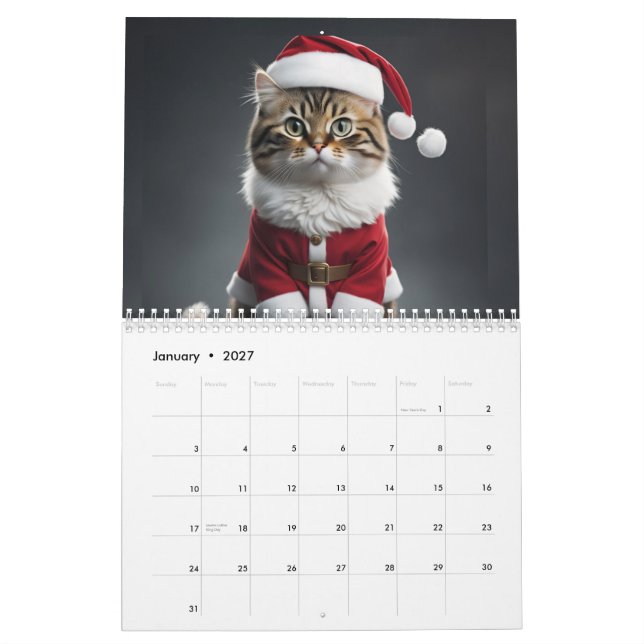 Calendario Meowy (Jan 2027)