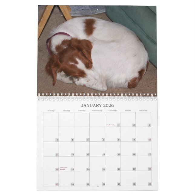 Calendario Mi Brittanys 2011 (Jan 2026)