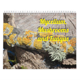 Calendario Micelio, Hongos y Hongo