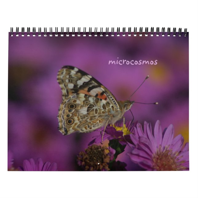 Calendario microcosmos (Tapa)