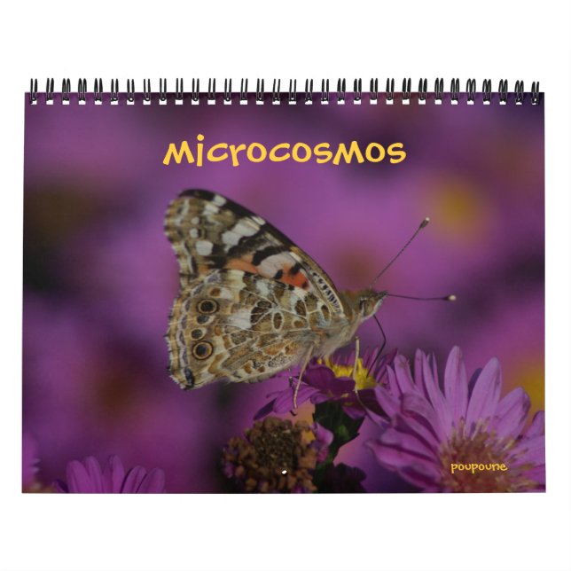 Calendario microcosmos (Tapa)