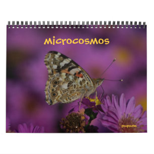 Calendario microcosmos