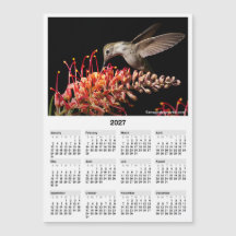 Calendario Mini Magnético 2027 Hummingbird 5x7"
