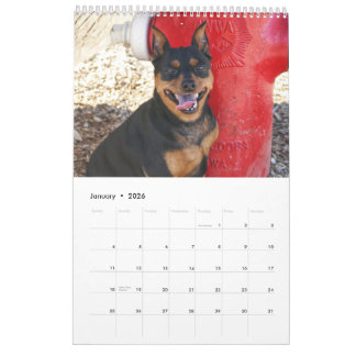 Calendario Miniature Pinscher One