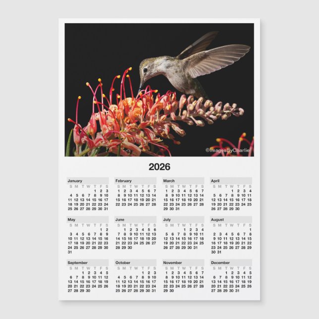 Calendario Mínimo Magnético del Colibrí 2026 5x7" (Anverso)