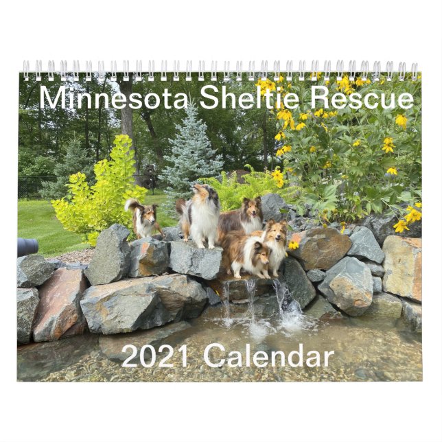 Calendario Minnesota Sheltie Rescue 2021 (Tapa)