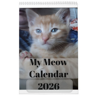 Calendario Mis citas de fotos de gatos personalizan diversión