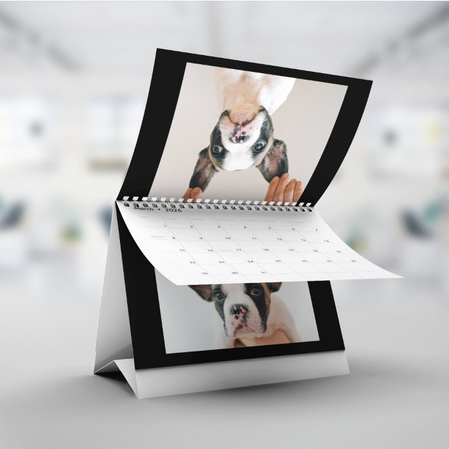 Calendario Modern Black Scrapbook Pet Photo (Subido por el creador)