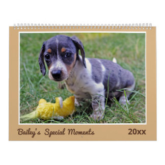 Calendario Modern Cute Dachshund Custom Pet Photos 
