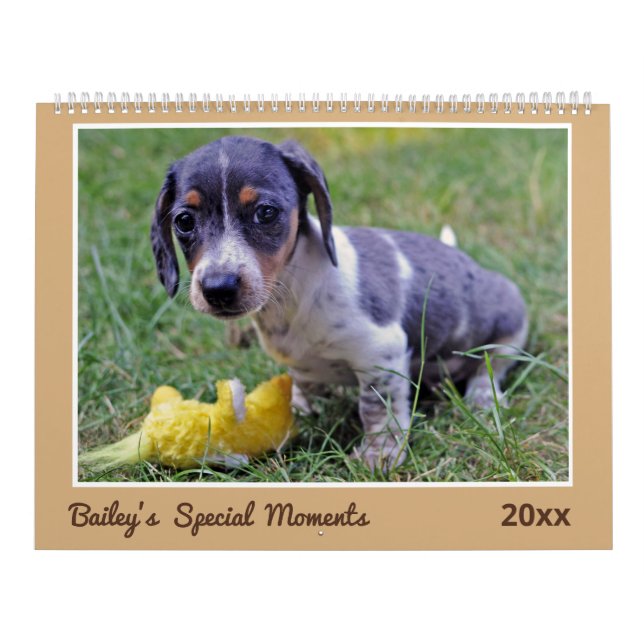 Calendario Modern Cute Dachshund Custom Pet Photos  (Tapa)