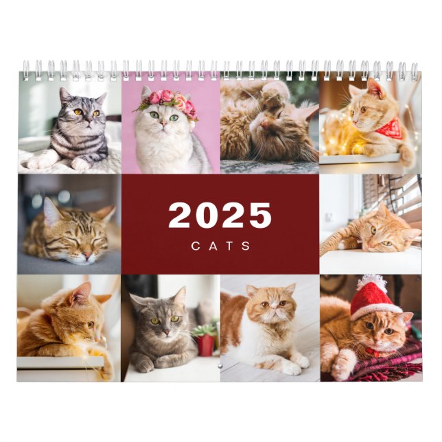 Calendario moderno de Collage de fotos de gatos 20 (Tapa)