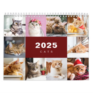 Calendario moderno de Collage de fotos de gatos 20